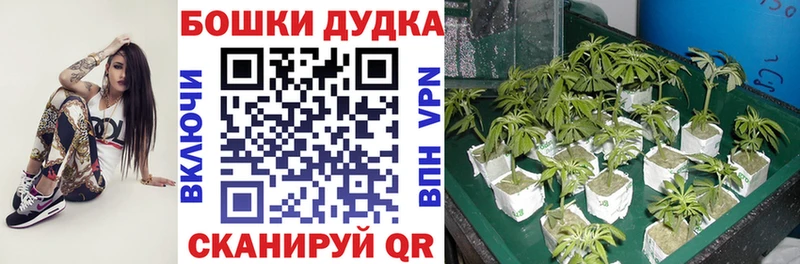 Марихуана LSD WEED  дарнет шоп  Арамиль 